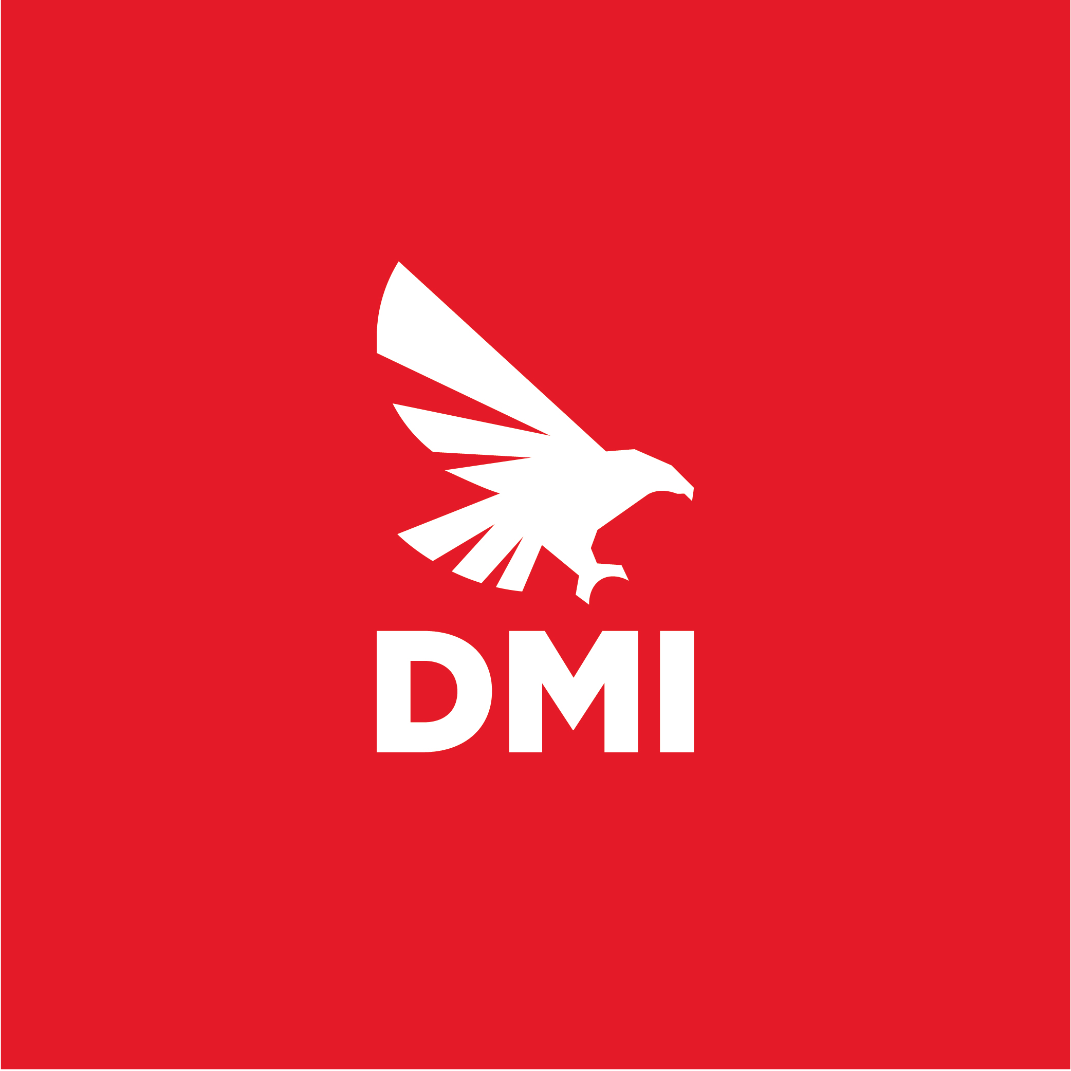 dmi-motor.com